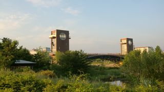 自然豊かな街中の公園