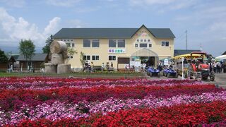 鮮やかな花々に囲まれるこの場所は、逆に何かほっとさせられる気持ちになりました