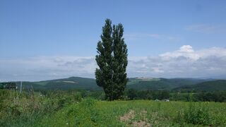 ケンメリと飛行機