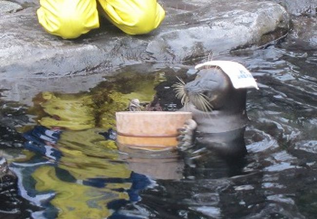 箱根園水族館