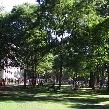 ハーバード大学　ハーバードヤード