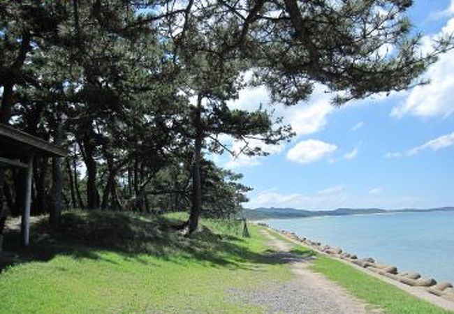 さつき松原海水浴場 クチコミ アクセス 営業時間 宗像 古賀 フォートラベル さつき松原海水浴場 クチコミ アクセス 営業時間 宗像 古賀 フォートラベル