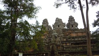 地味ながらも力強い