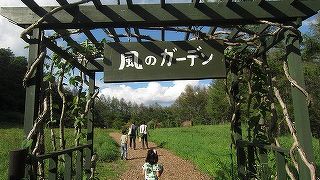 色とりどりの花