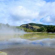 ワイオタプ・サーマル・ワンダーランド　森林浴をしながら地熱地帯を見学