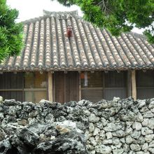 シーサーが屋根の上でお出迎え