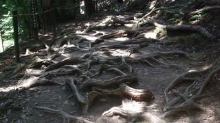 義経が山を駆け巡って、水を飲んだという清水や魔王堂