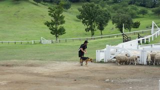 伊香保温泉の帰りでも