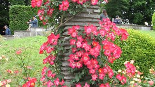 無料ですが規模は小さいです