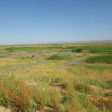 すぐそばに広がる草原。昔は大きなオアシスだったのでしょう。