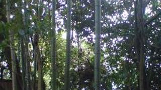 とても静かで落ち着ける場所でした