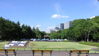 職場のすぐ近くです。