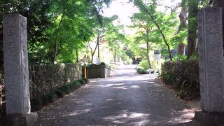 牡丹で有名な寺