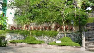 散歩に最適な広々とした公園