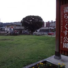 緑の広場が広がっています