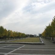 とにかく広大。開放感溢れる公園。サイクリングコースが特によい。