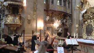 目と耳でじっくり