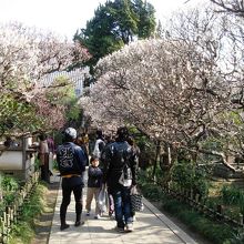 北条氏邸宅の跡