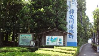 美しい自然に囲まれた公園