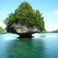 オプションツアー２