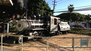 運休の日があります