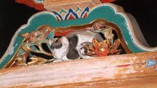 こ、こんなに、小さかった？？