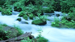 マイナスイオンたっぷり！新緑でリフレッシュ