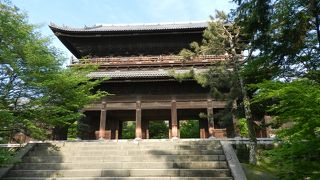 新緑の頃もなかなかイイですよ