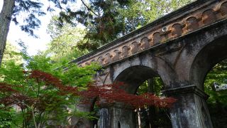 京都を代表する風景の一つです