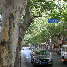 お屋敷街を通る並木道。