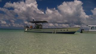 日陰がないので、天気の良い日は注意。