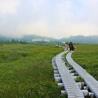 弥陀ヶ原高原の散策路です。
