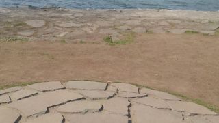 のんびりお散歩コース