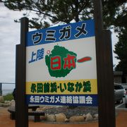 海がめの産卵場所としては日本一の海岸