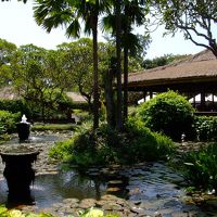 手入れが行き届いてた庭