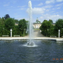 庭園からです。