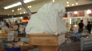 しらすのジェラート？？