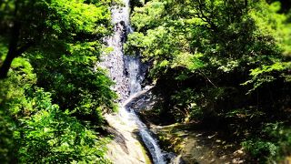 夏は川遊びが楽しい！