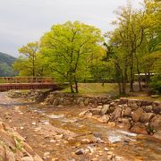 新緑の中に流れる小川が気持ちいい！