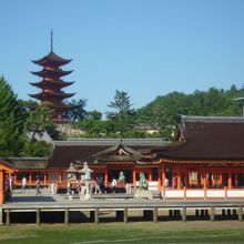五重塔を背に映える厳島神社です。