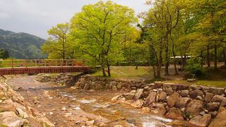 新緑の中に流れる小川が気持ちいい！