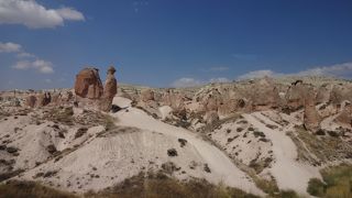 ほんとにラクダ型！