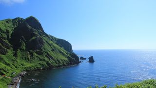 絶景！桃と猫の背中だニャ～