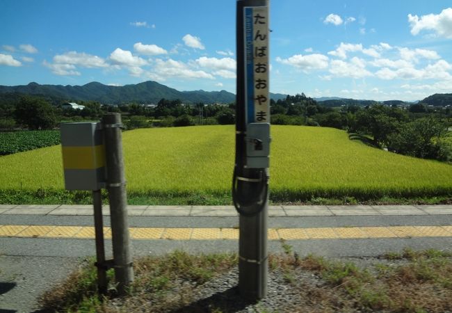 丹波大山駅