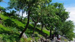 坂なのに水が上流へと遡って行く、不思議な光景。都蘭そば。