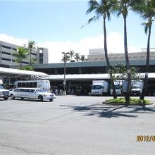 全体が映らないので