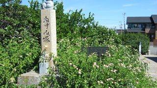 ねずみと猫の恩返し！