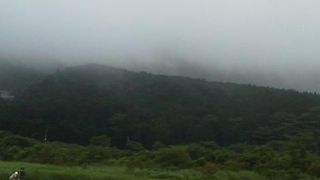 見ごたえのある花園