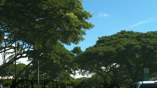 B級グルメが楽しめる