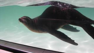 のびのび動物園